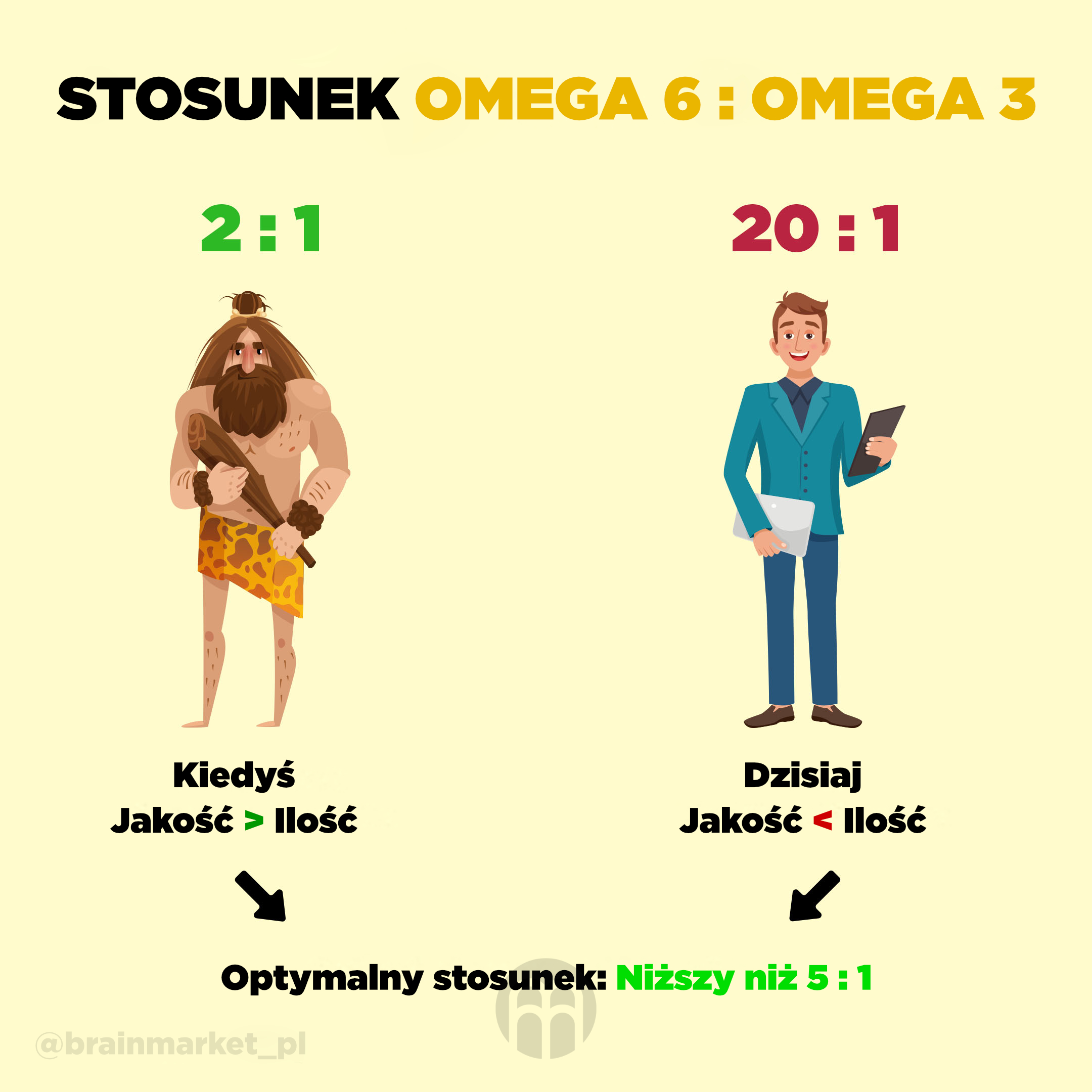 Omega 3 a 6_infografika_pl